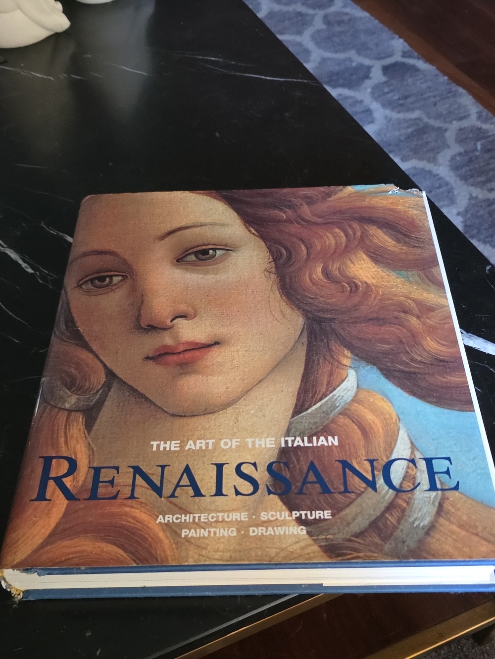 Renaissance Art Hardcover Book – Blue and Tan Cover
